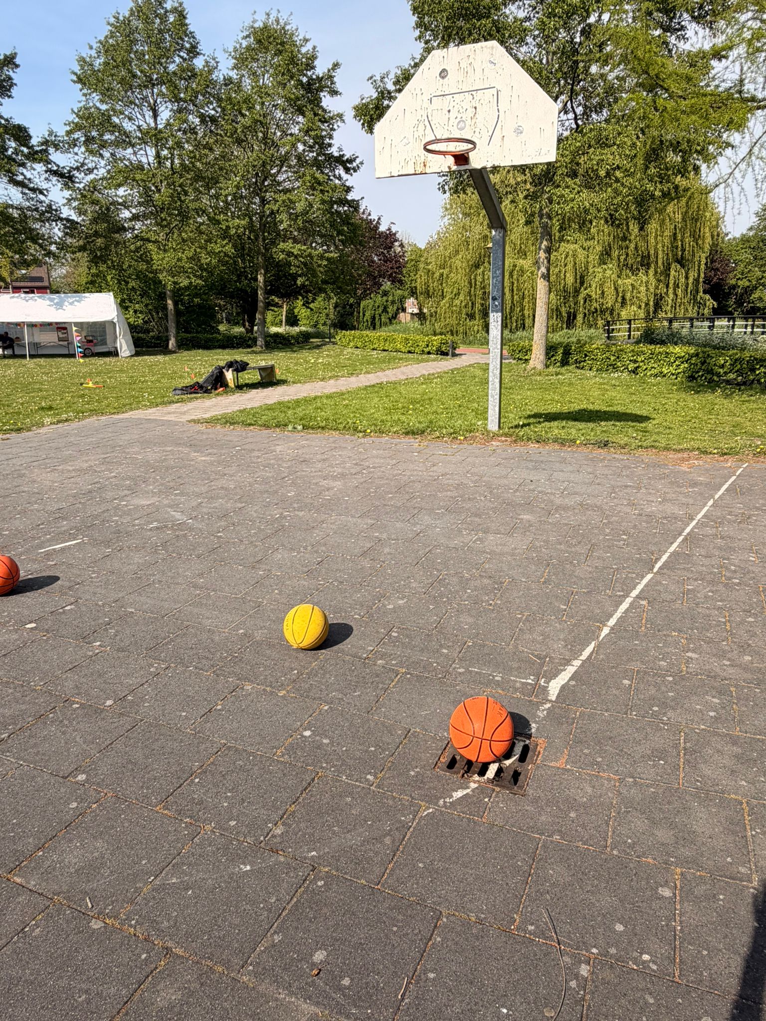 Basketbal veld